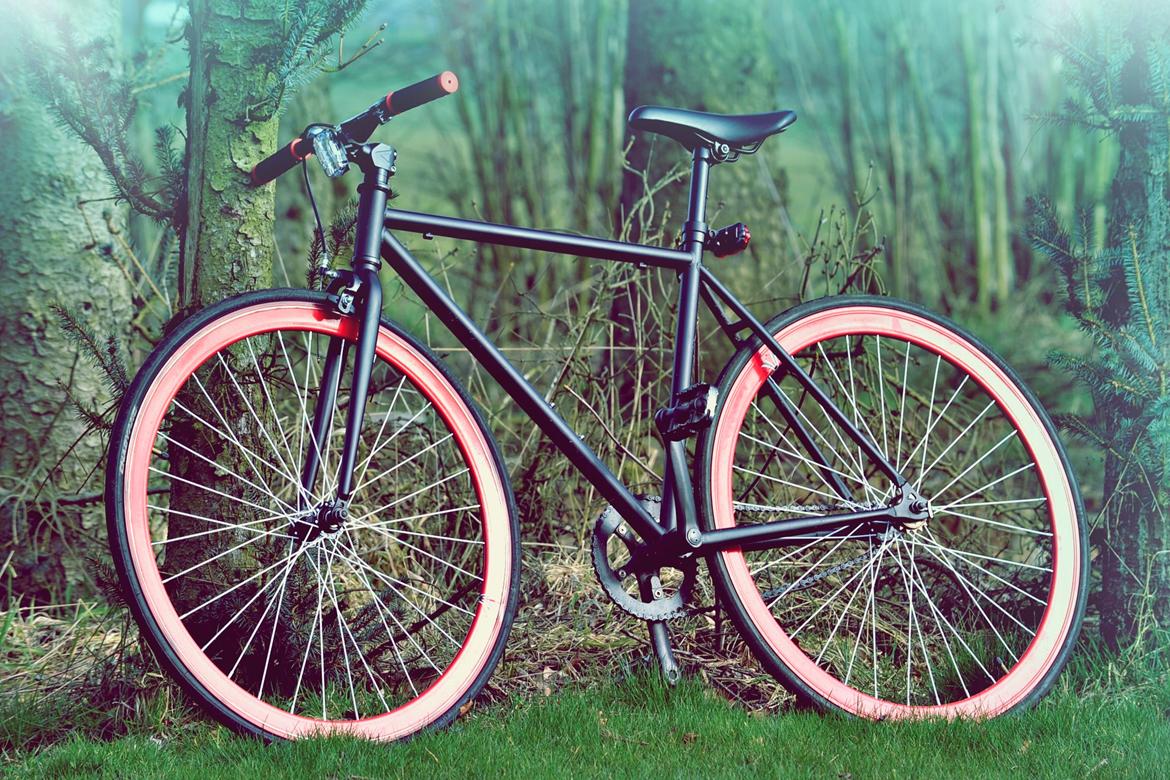 No-Name Fixie billede 5