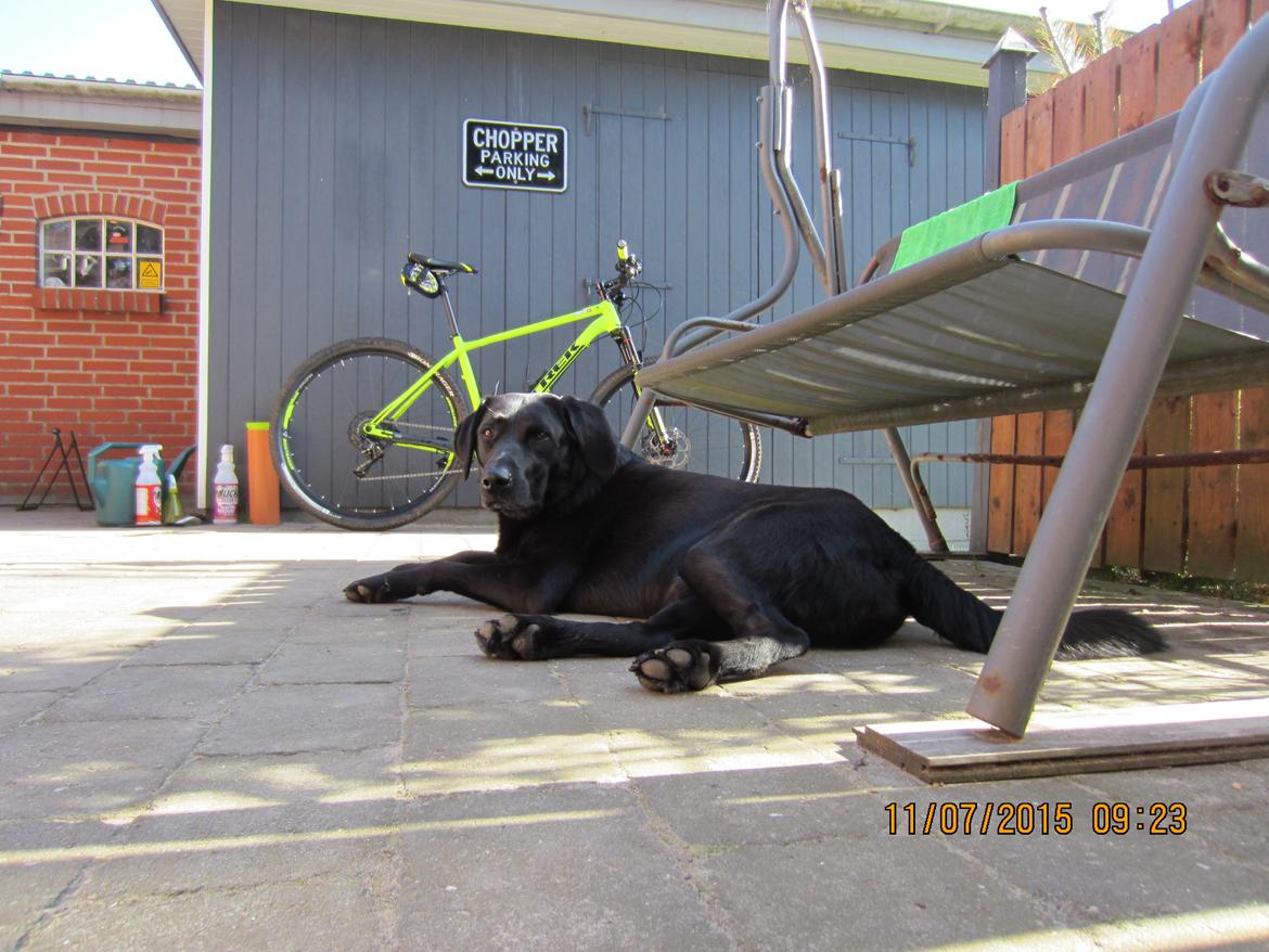 Trek Superfly 9 billede 13