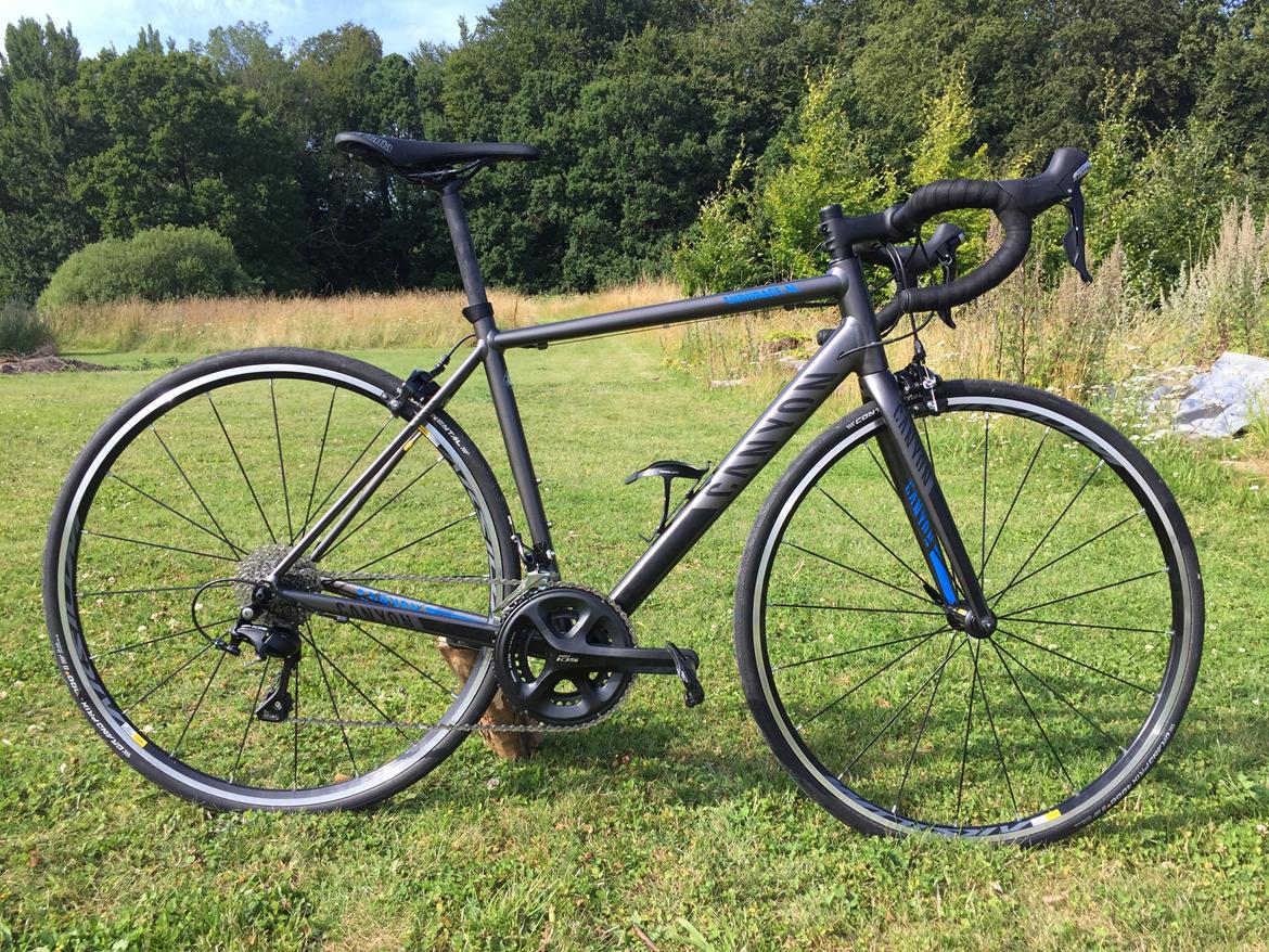 Canyon Endurace AL 6.0 billede 1