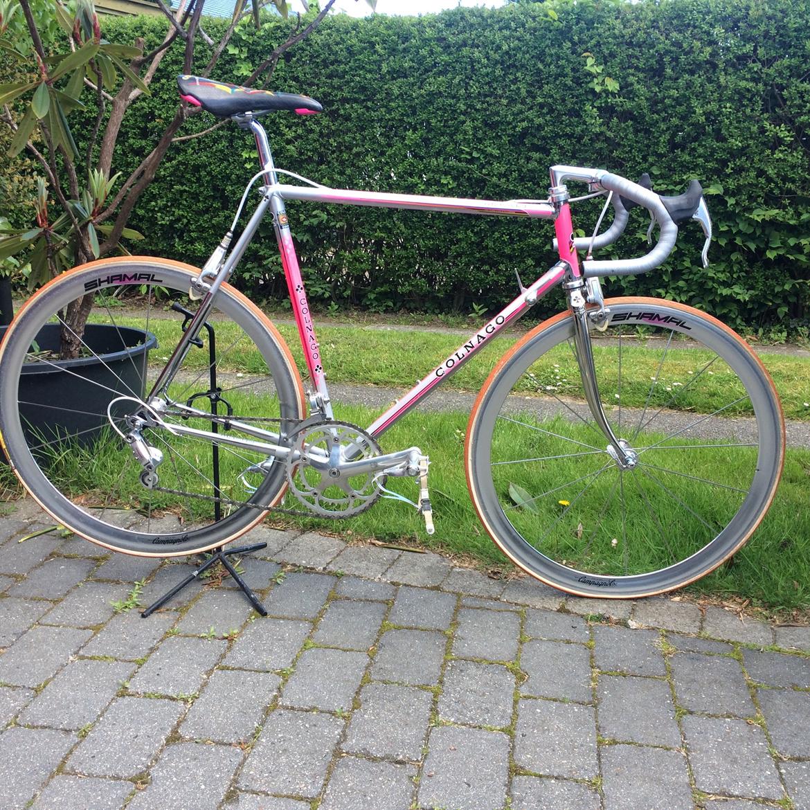 Colnago Master billede 1