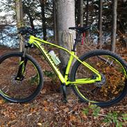 Specialized Rockhopper Expert 29"