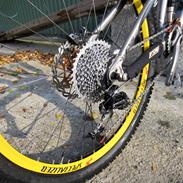 Specialized Expert SL