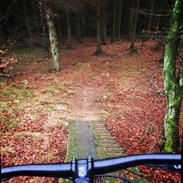 Canyon Spectral AL 7.0 Ex