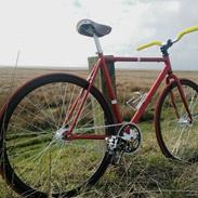Puch Singlespeed 