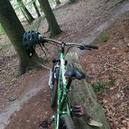 Lapierre Spicy 216