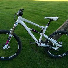 Lapierre Spicy 516