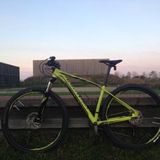Specialized Rockhopper Expert 29"