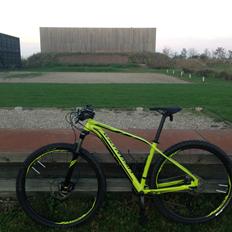 Specialized Rockhopper Expert 29"