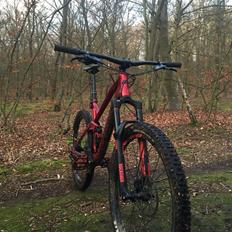 Canyon Spectral AL 7.0 Ex