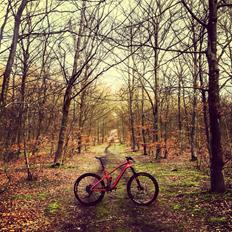 Canyon Spectral AL 7.0 Ex
