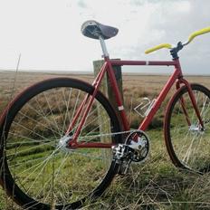 Puch Singlespeed