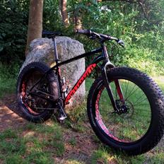 Specialized FatBoy Expert 2015