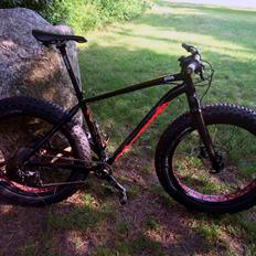 Specialized FatBoy Expert 2015