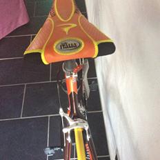 Pinarello Prince (2002) 