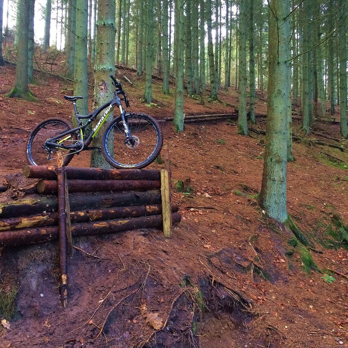 Santa Cruz Tallboy 2 C '16 billede 26