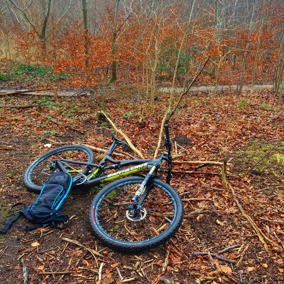 Santa Cruz Tallboy 2 C '16 billede 12