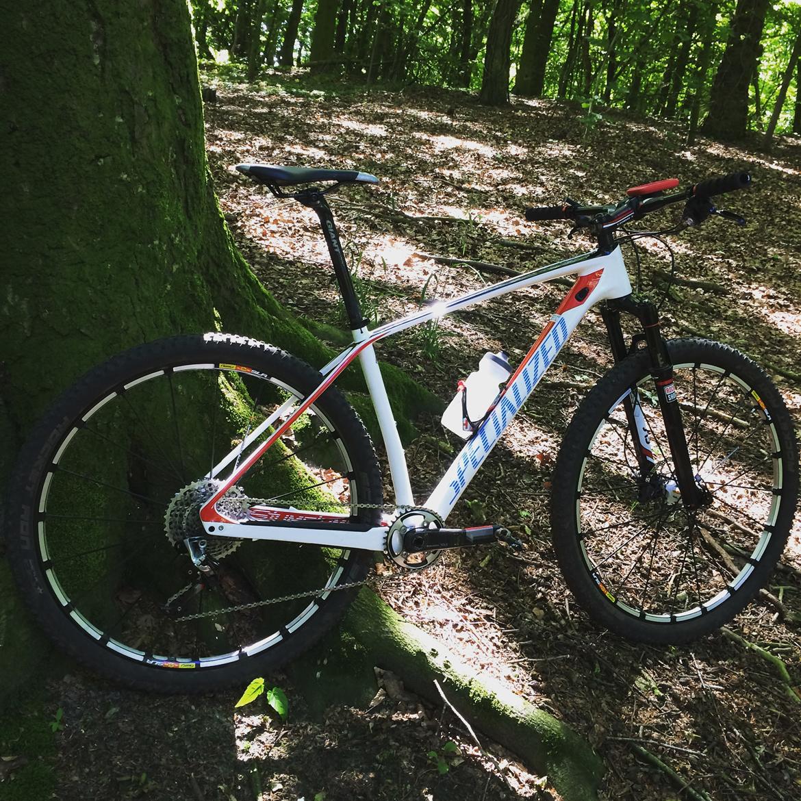 Specialized Stumpjumper comp ht billede 1