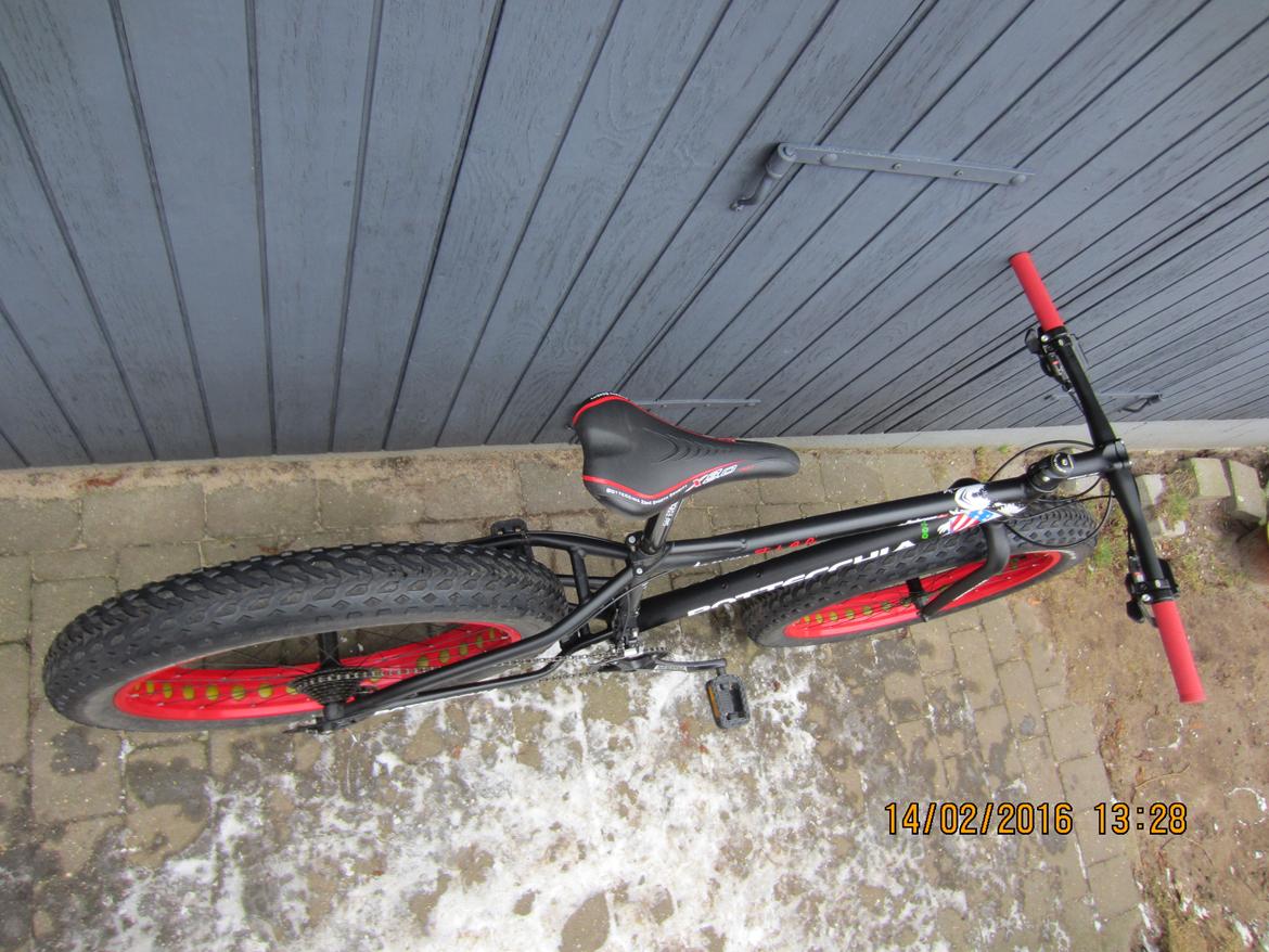 Bottecchia Fat Bike 2015 billede 6