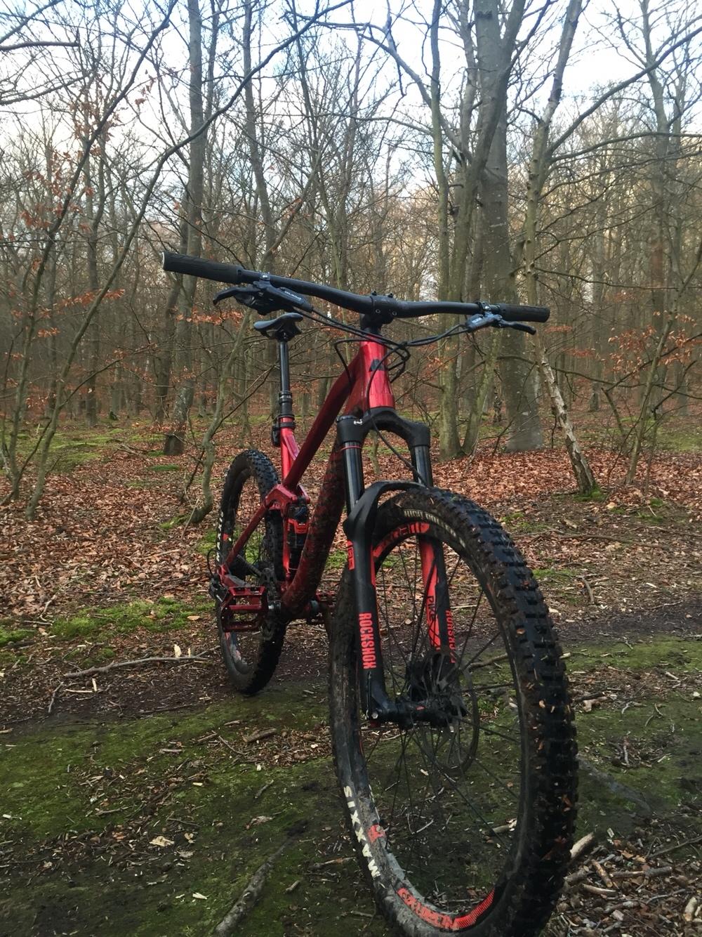 Canyon Spectral AL 7.0 Ex billede 1