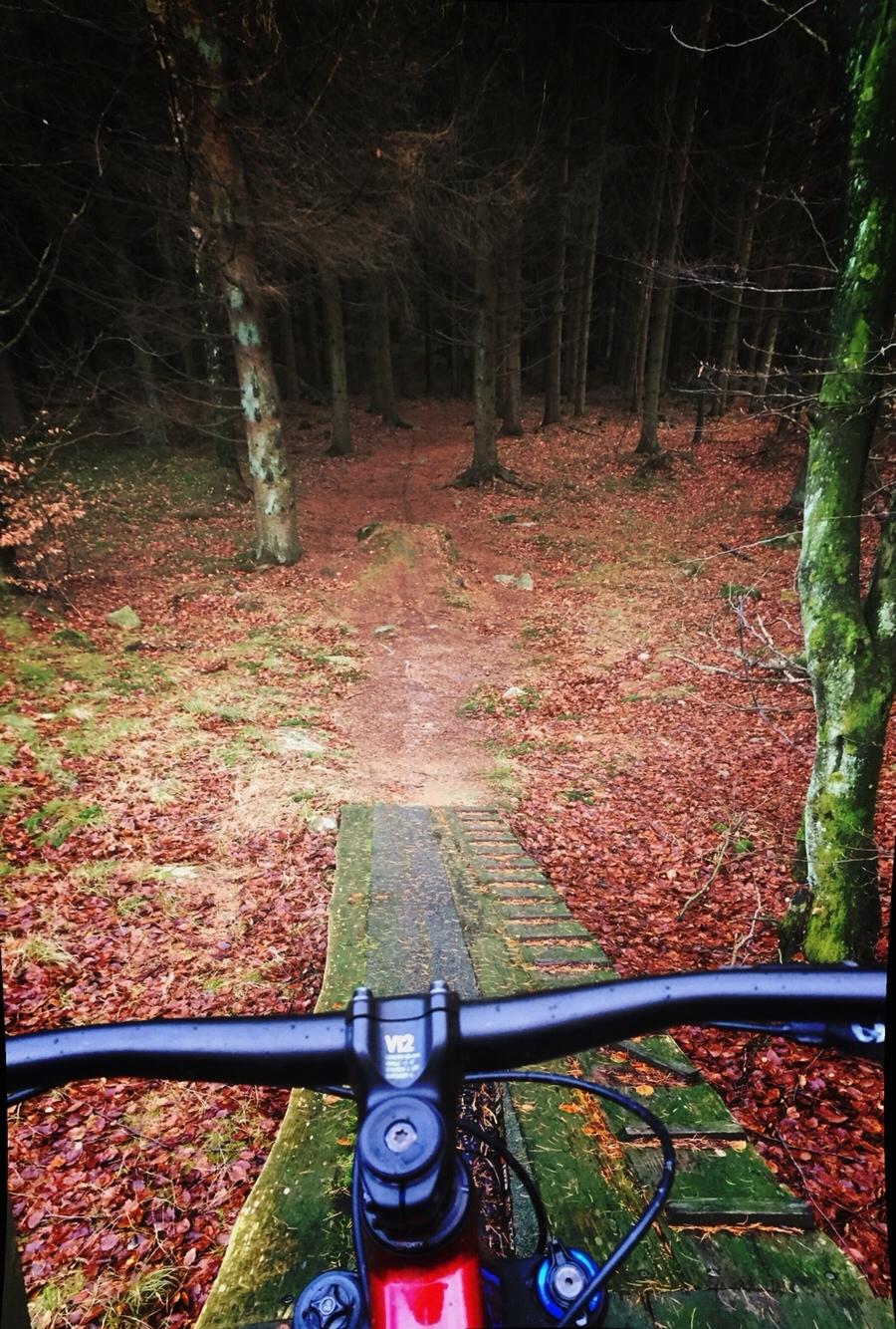 Canyon Spectral AL 7.0 Ex billede 4