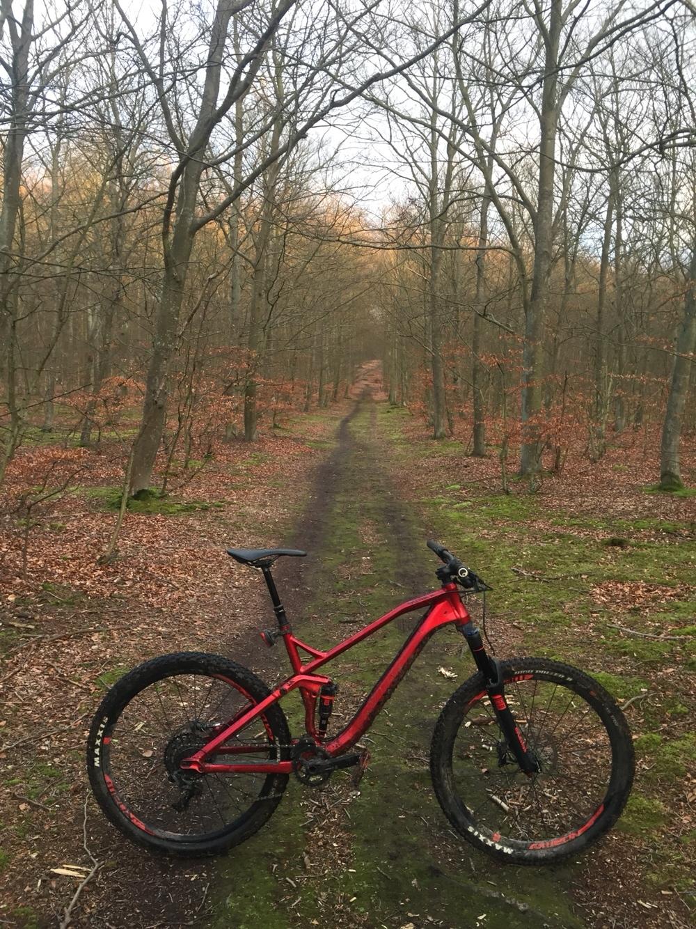 Canyon Spectral AL 7.0 Ex billede 6