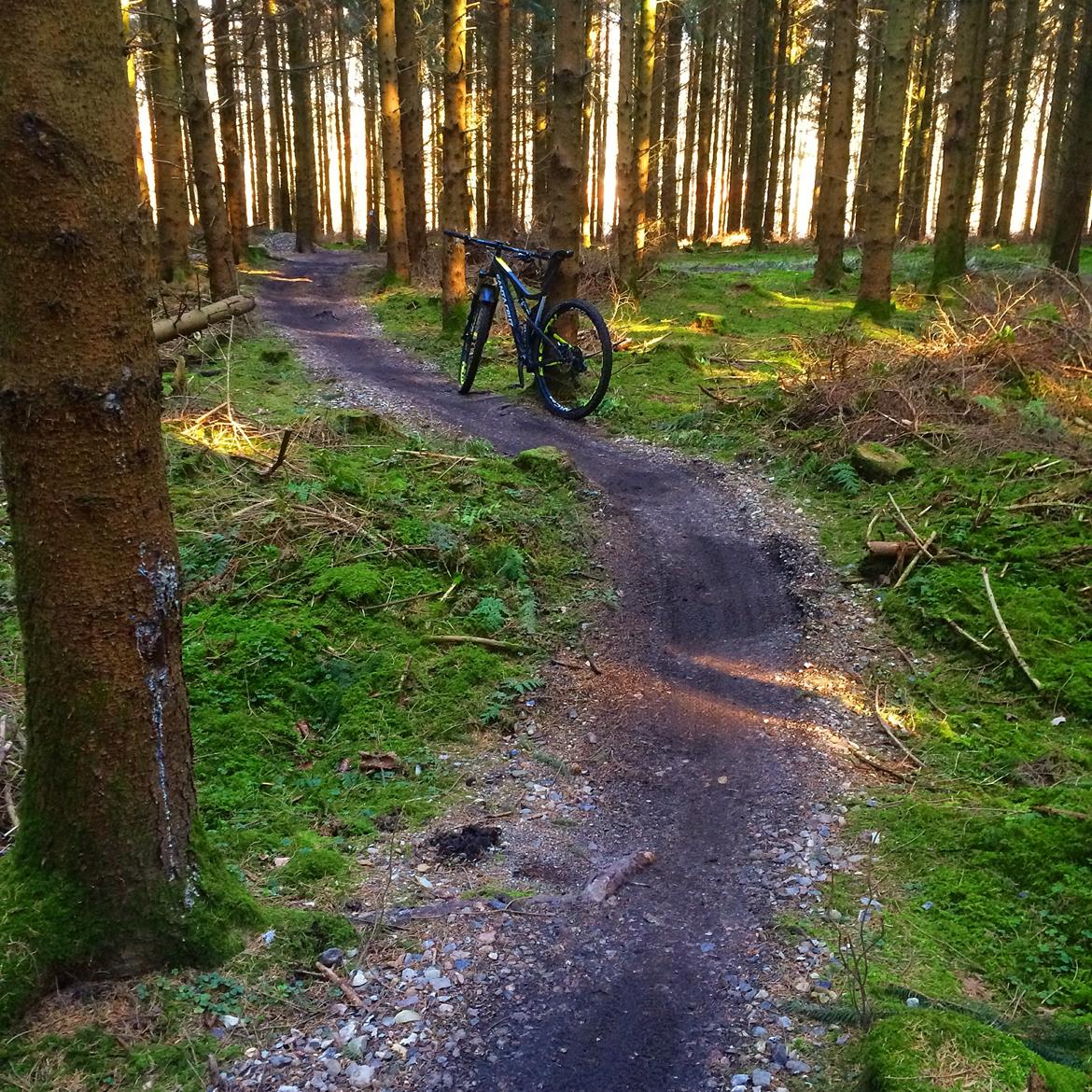 Santa Cruz Tallboy 2 C '16 billede 22