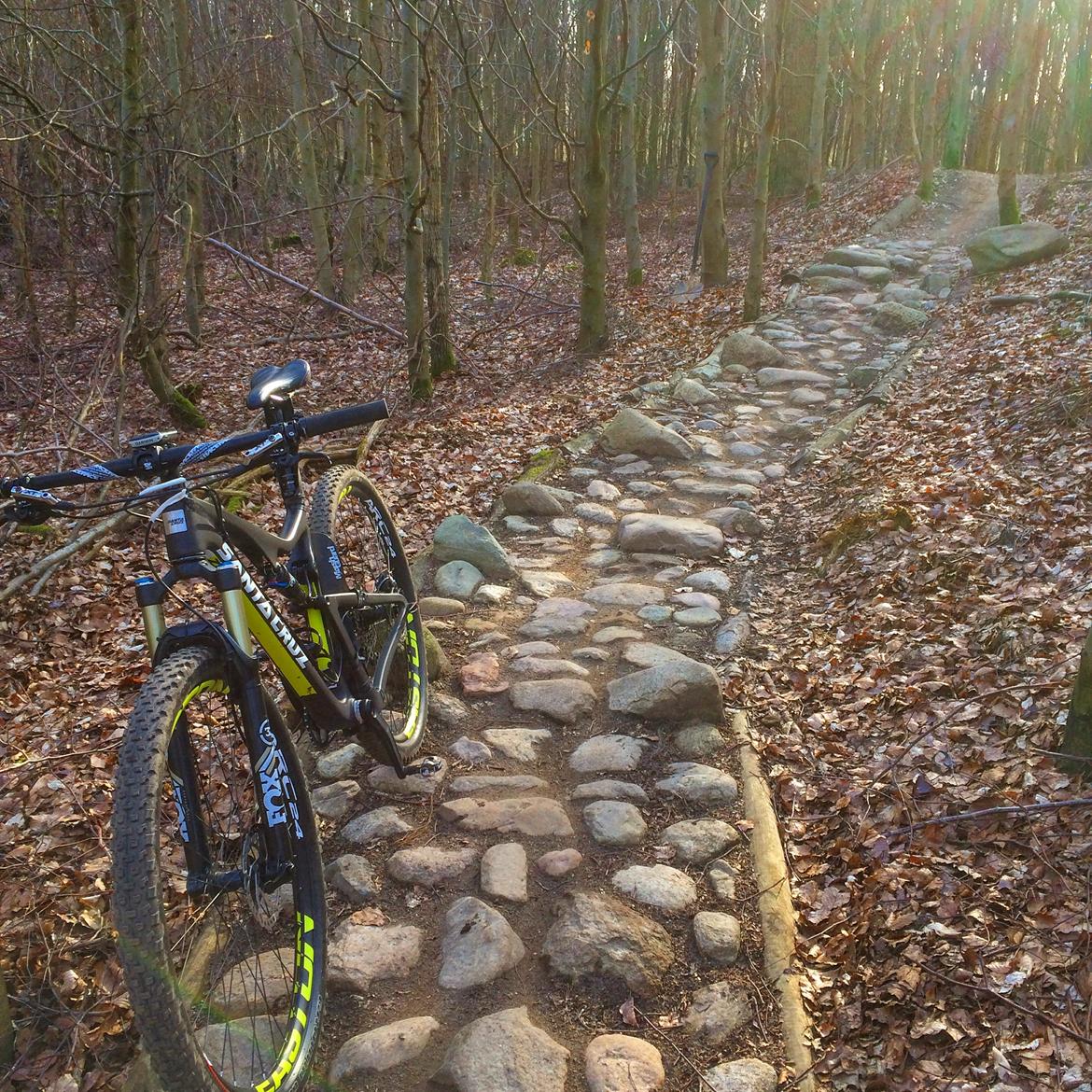 Santa Cruz Tallboy 2 C '16 billede 8