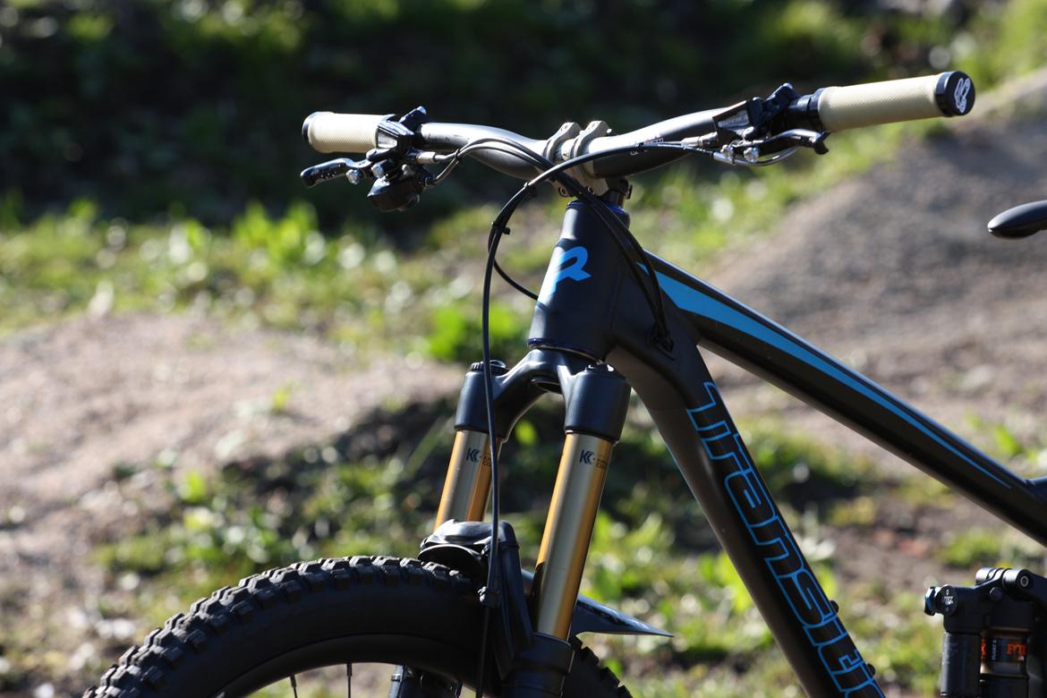 Transition Scout  billede 6