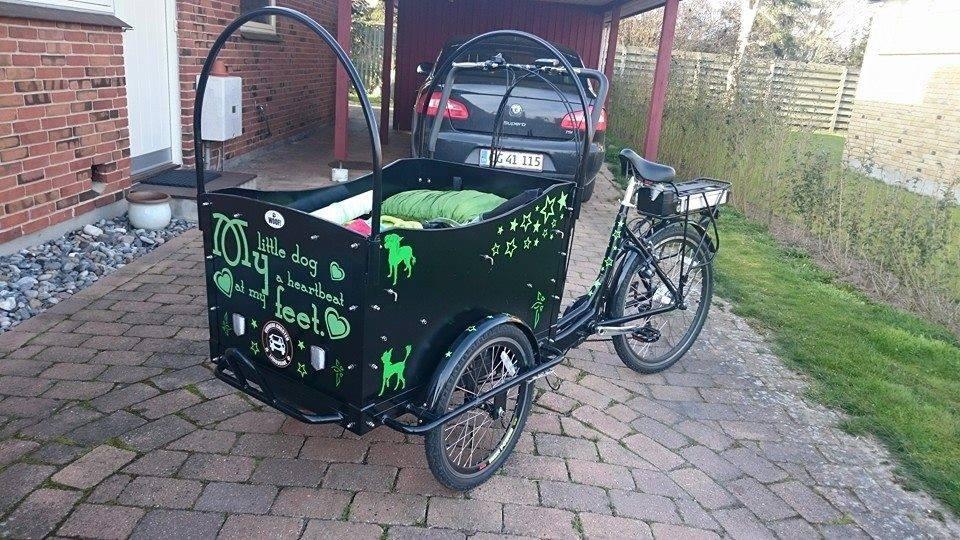 Viva Crestie-Cart - Klar! billede 14