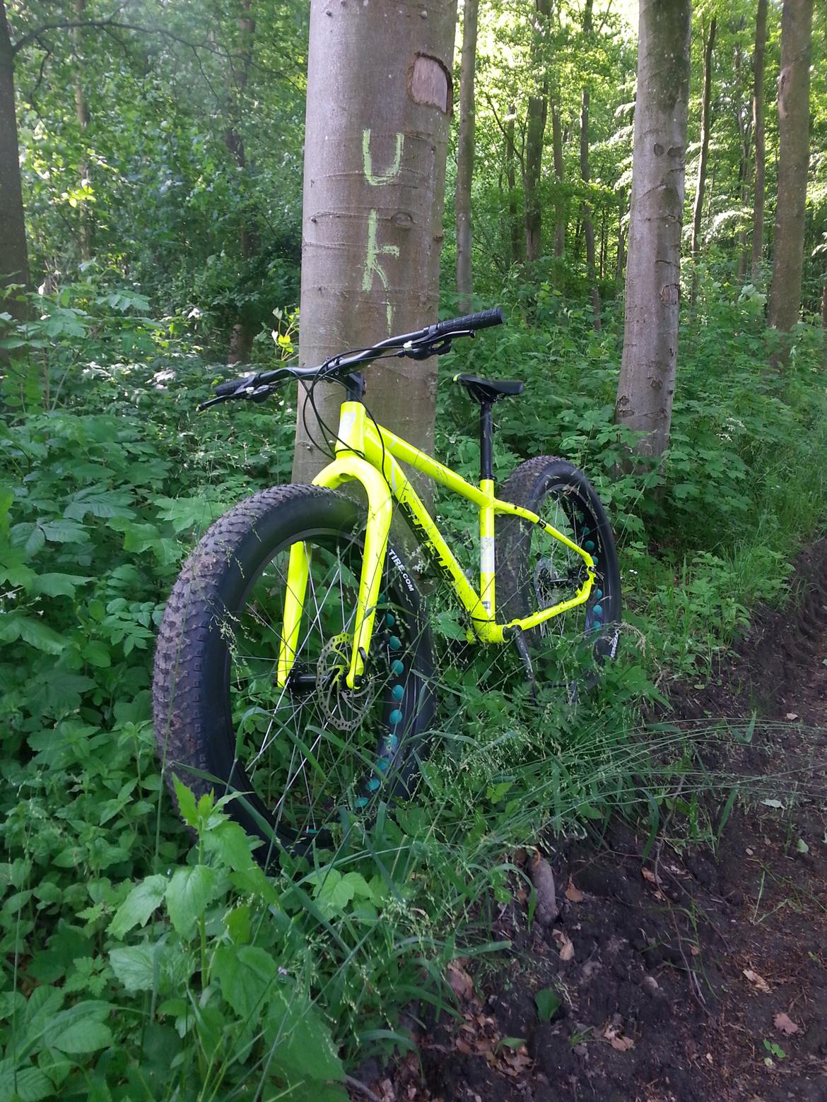 No-Name CALIBRE DUNE FATBIKE billede 3
