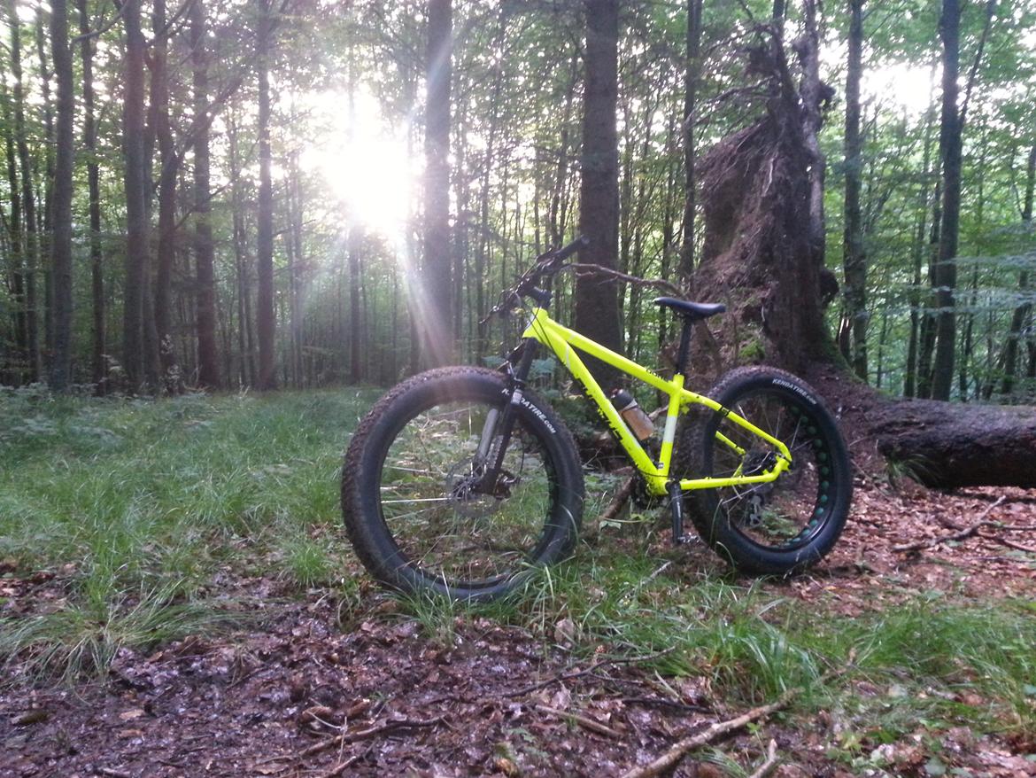 No-Name CALIBRE DUNE FATBIKE billede 20