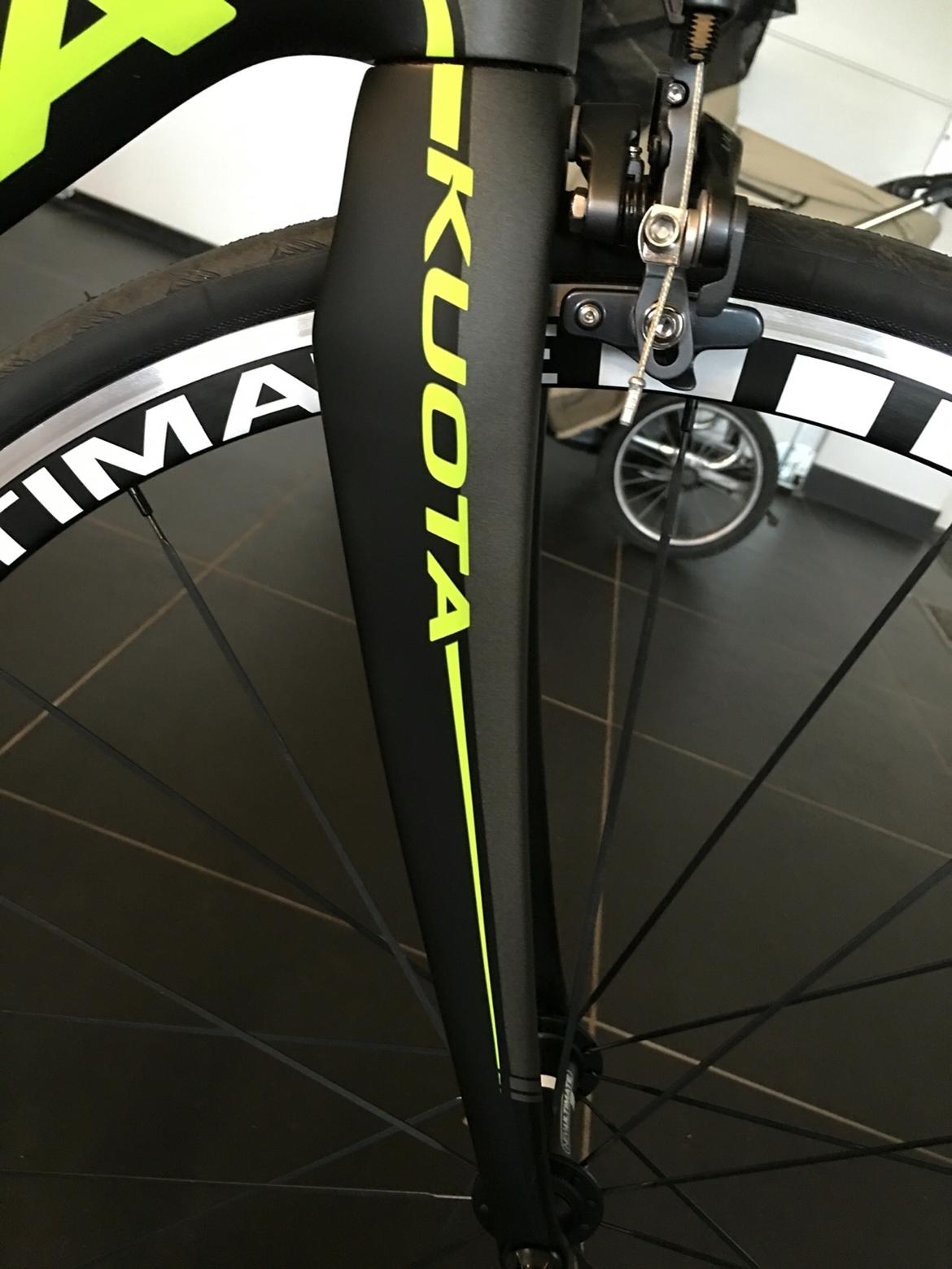 Kuota kryon billede 13