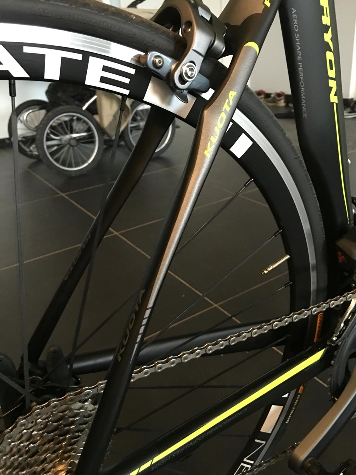 Kuota kryon billede 17