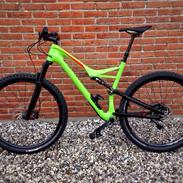 Specialized Camber Comp Carbon