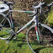 Bianchi intenso