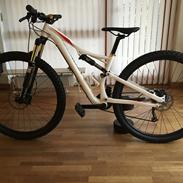 Specialized Camber