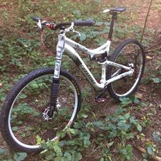 Cannondale Scalpel 29'er alloy 3