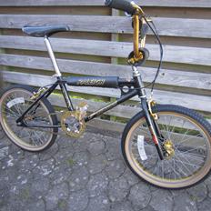 Raleigh Ultra Burner