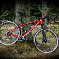 Focus Raven Evo 2017 - Løbsbike