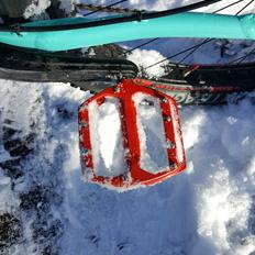 Trek Stache 5 29 +