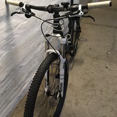 No-Name Foace Epigoni 29"