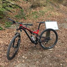 Specialized Stumpjumper Fsr Expert
