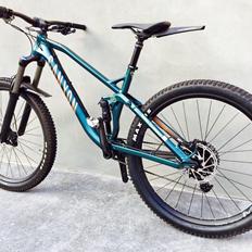 Canyon Spectral Al 5.0 ex