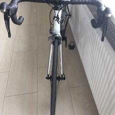 Radon Vaillant Carbon Ultegra