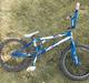 GT SLAMMER RockStar 2012