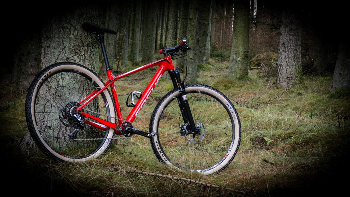 Focus Raven Evo 2017 - Løbsbike - Løbs-Setup (29x2.25 på XR1501) billede 10