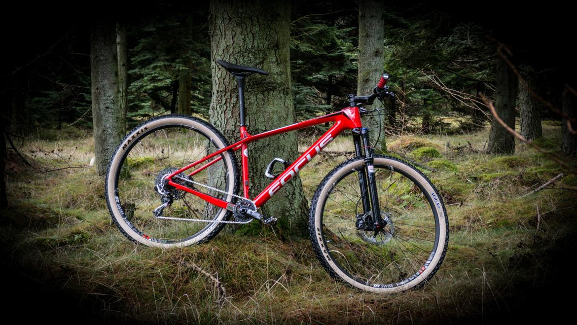 Focus Raven Evo 2017 - Løbsbike - Løbs-Setup (29x2.25 på XR1501) billede 2