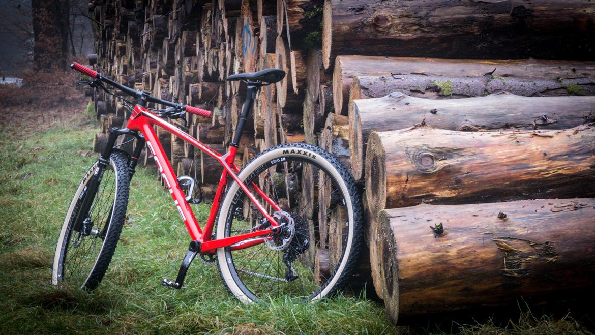 Focus Raven Evo 2017 - Løbsbike - Trænings-Setup (dog med 29x2.25 dæk monteret her - 29x2.40 kommer snart) billede 3