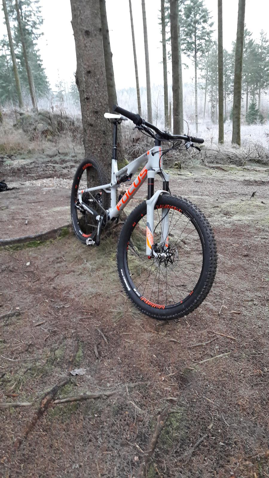 Focus Spine Factory billede 5
