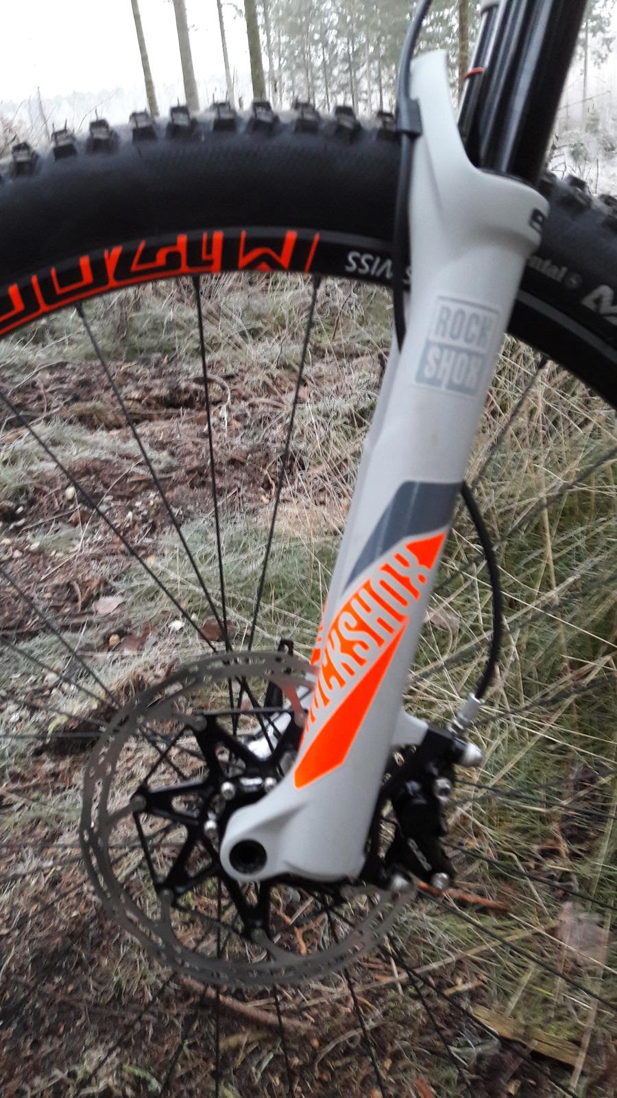 Focus Spine Factory billede 7